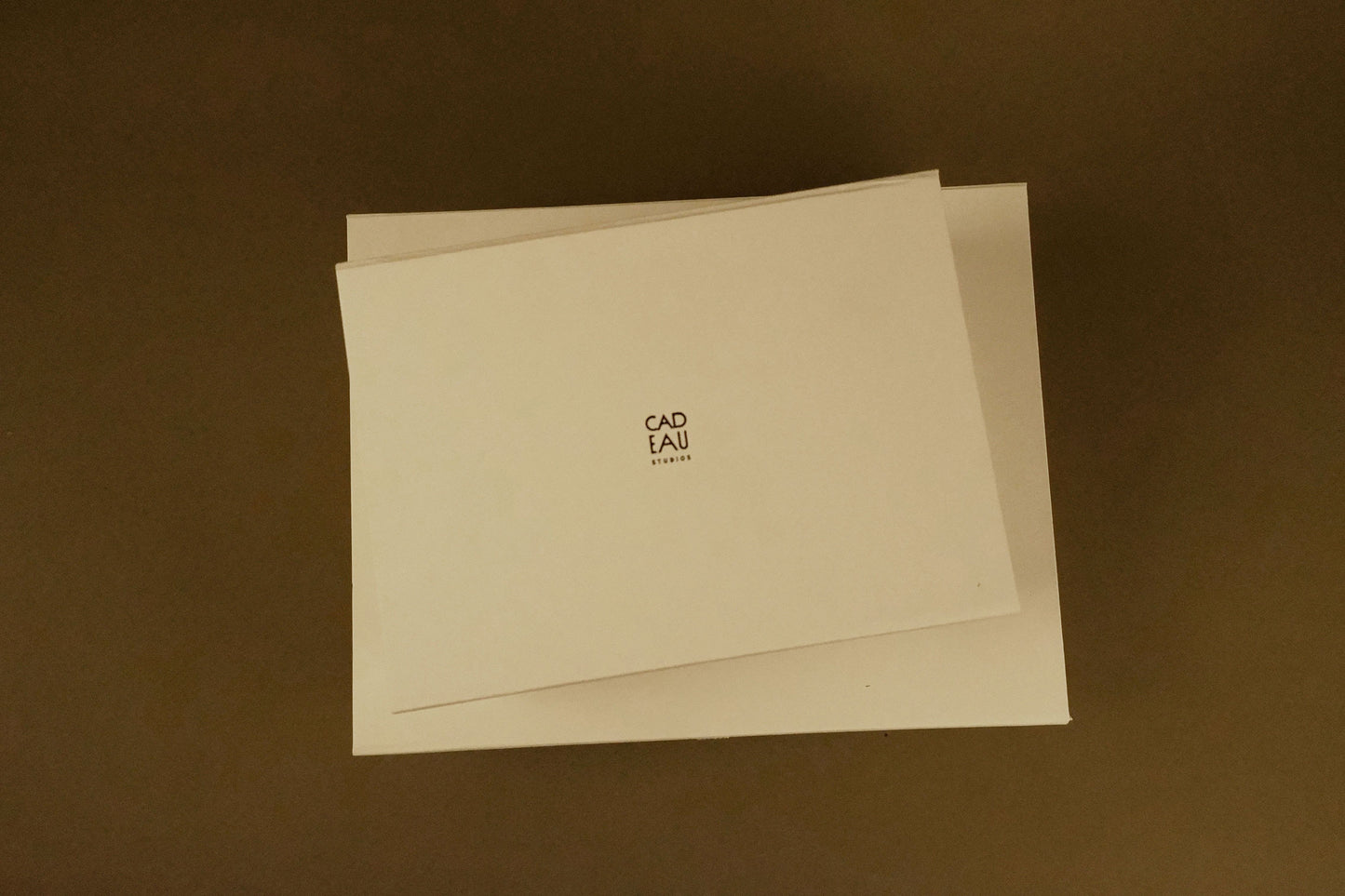 Beige gift box with a logo on a green background