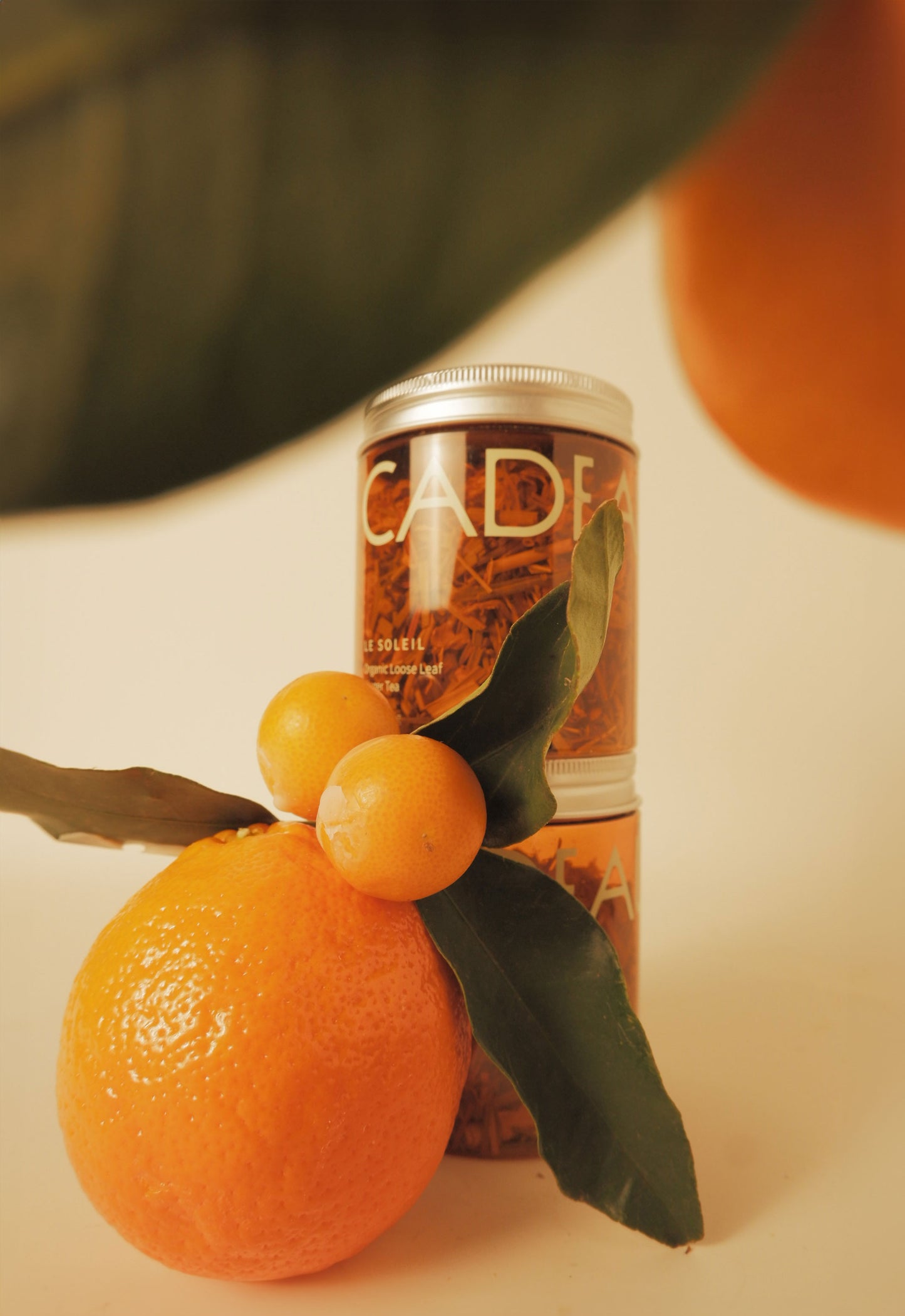 Tea jar with oranges