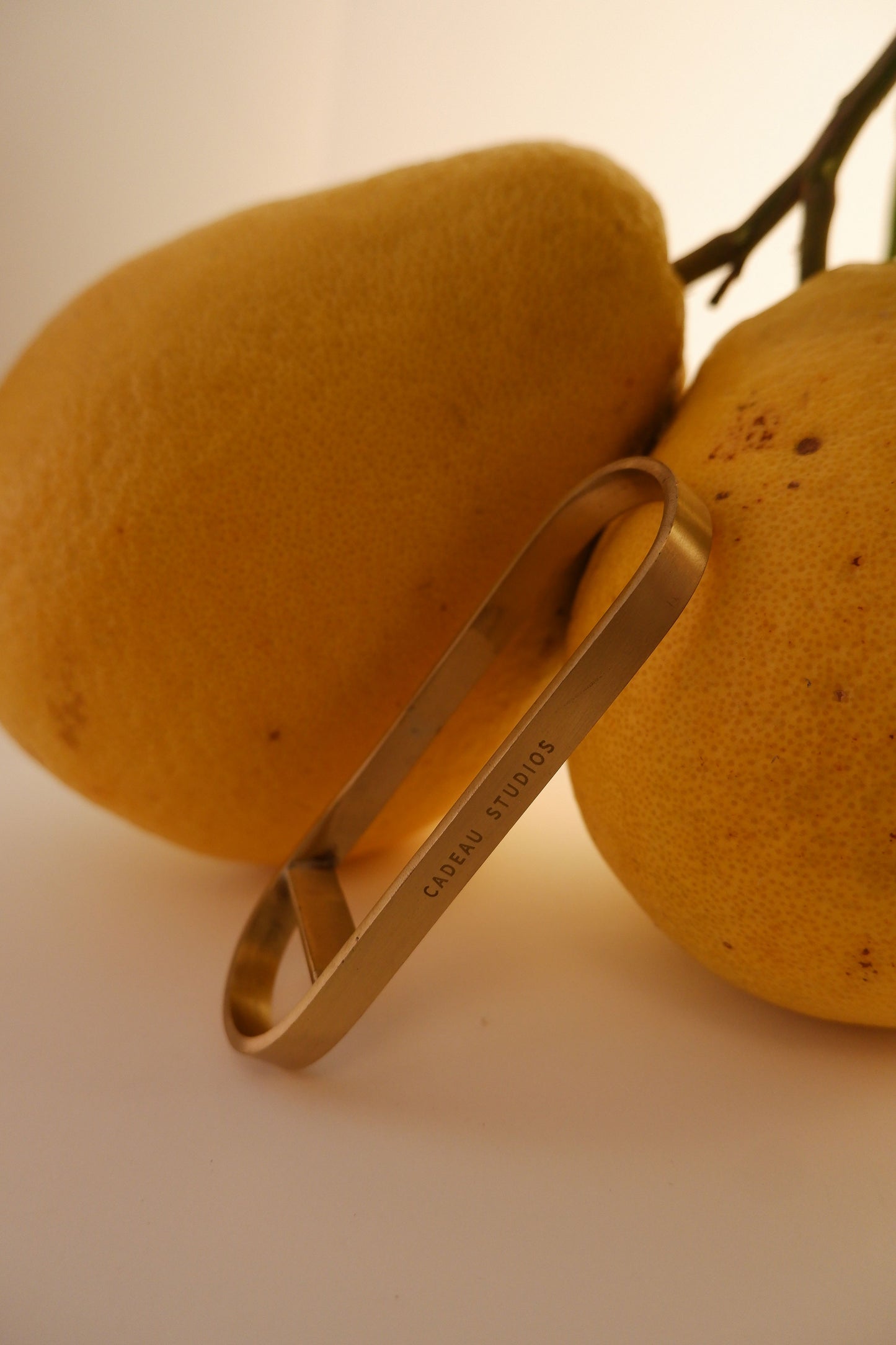 Gold carabiner clipped onto a branch with fruits on a plain background