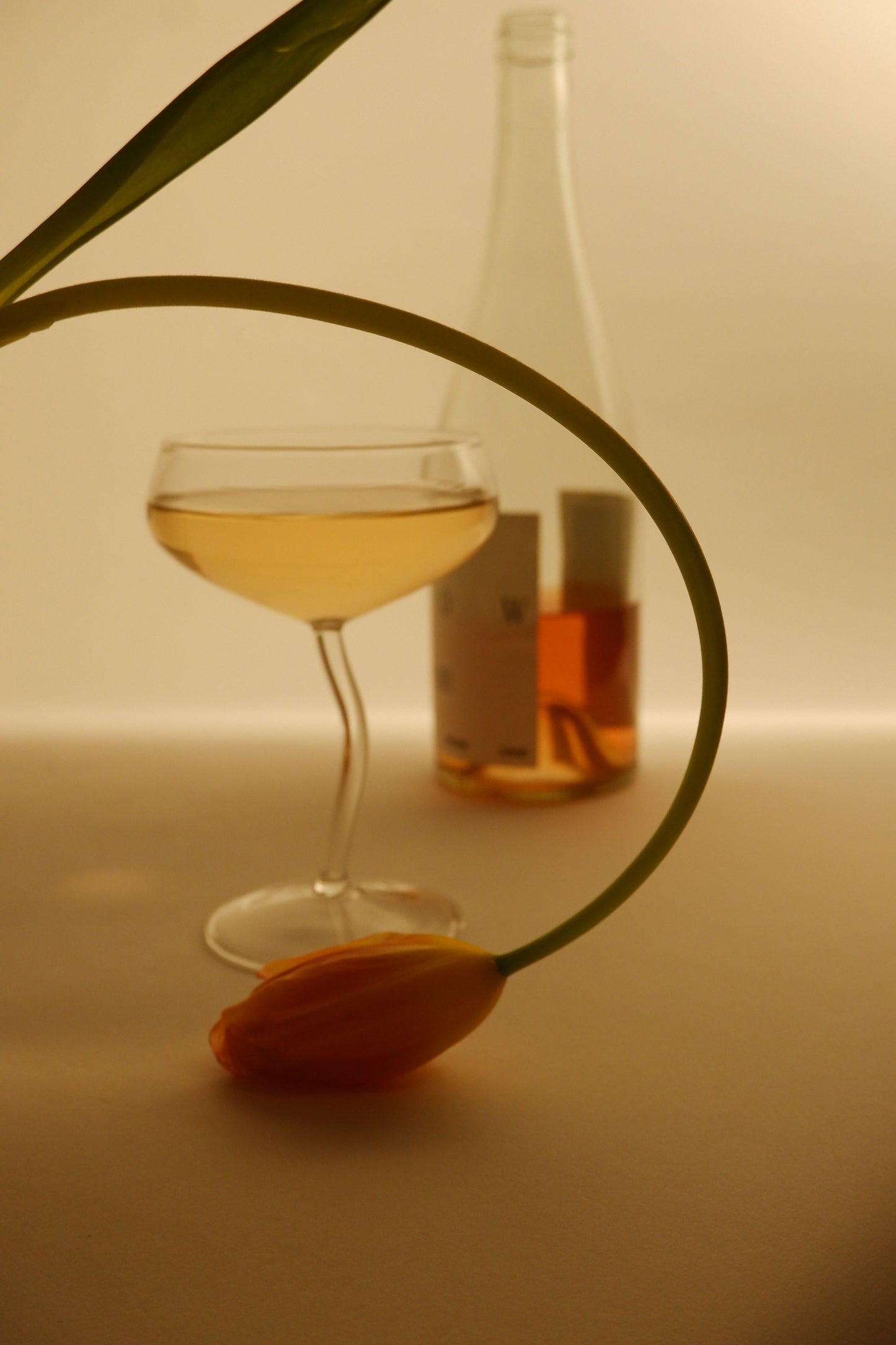 Glass of white wine with a bottle in the background on a neutral surface