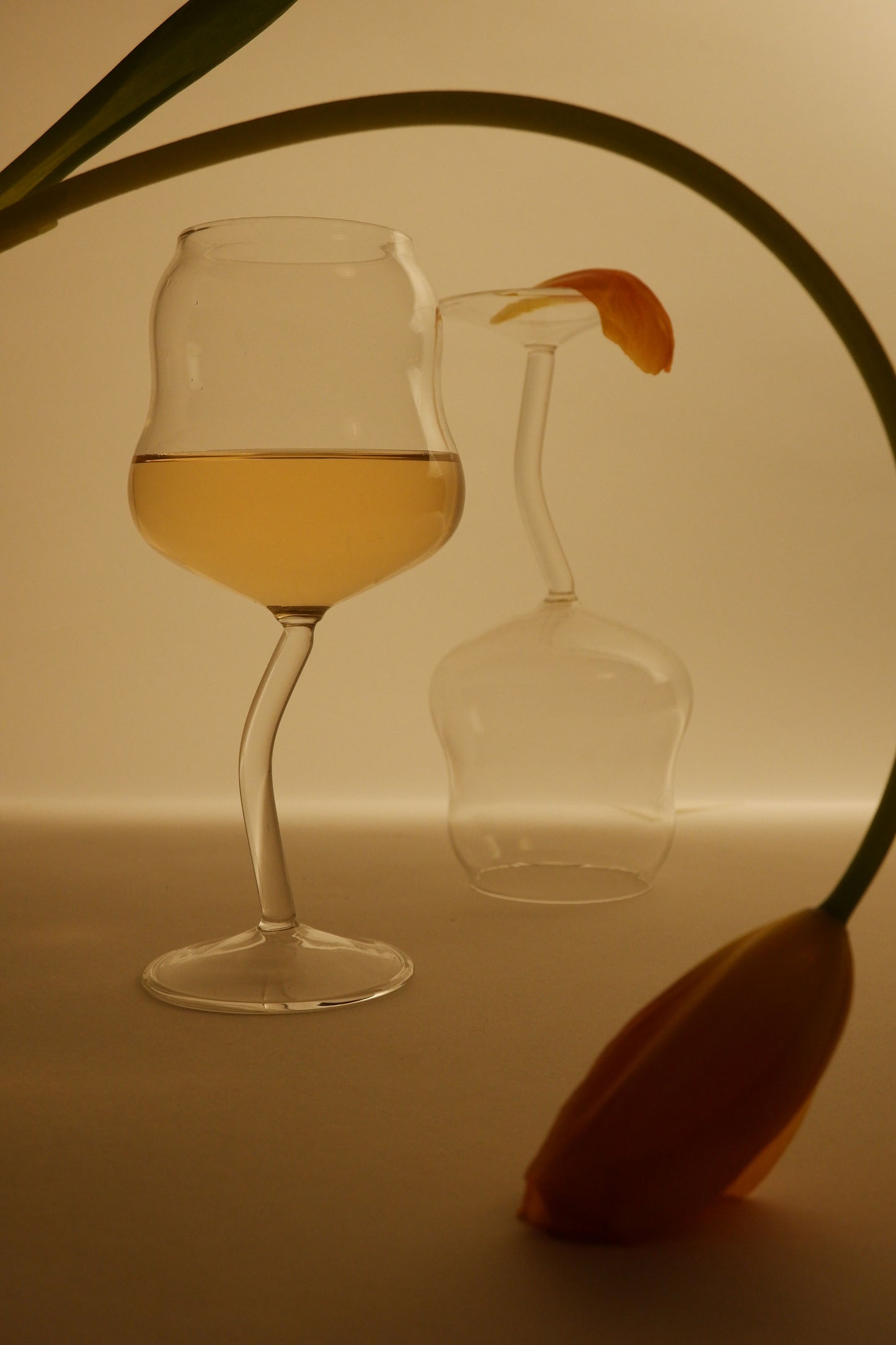 Glass of white wine with a petal on a white surface, with a blurred background