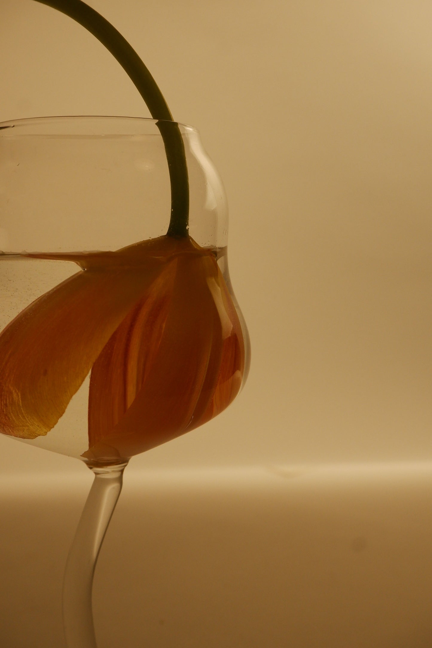 Wine glass with a flower on a beige background