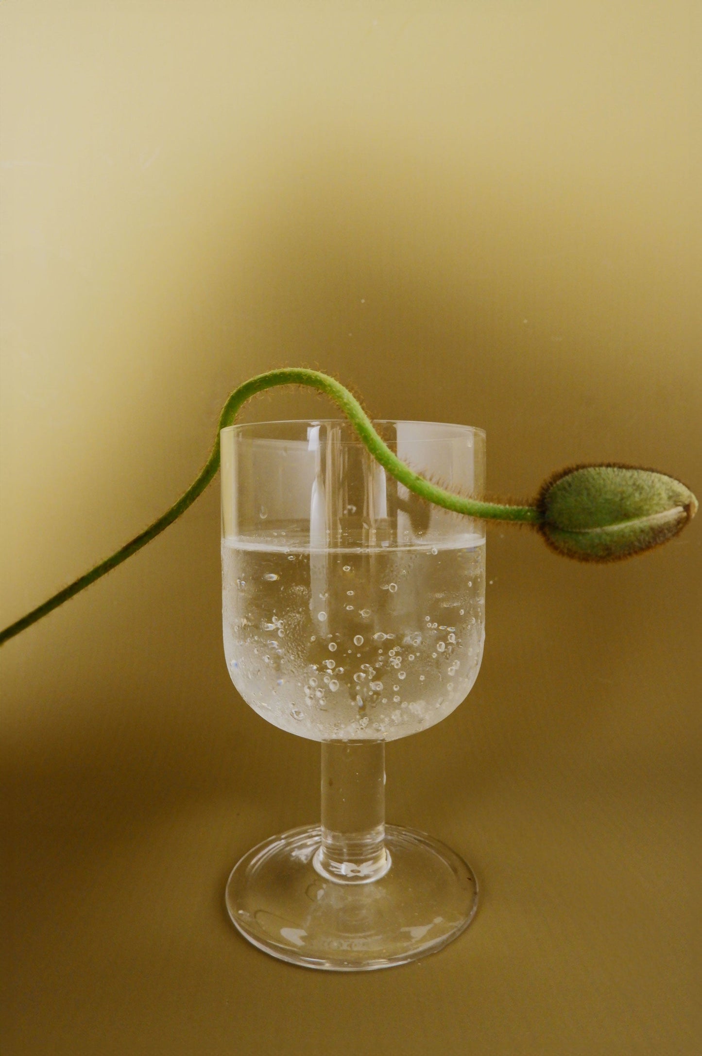Gin kit