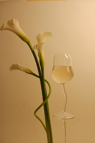 Cin Cin Flute Glass