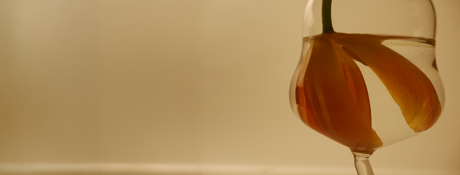 Glass with a flower on a beige background