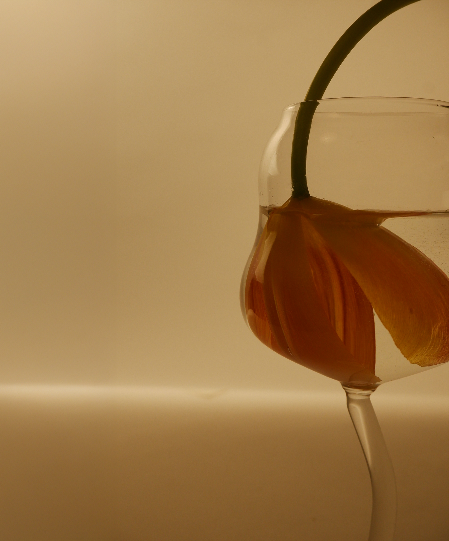 Glass with a teabag steeping in it against a beige background