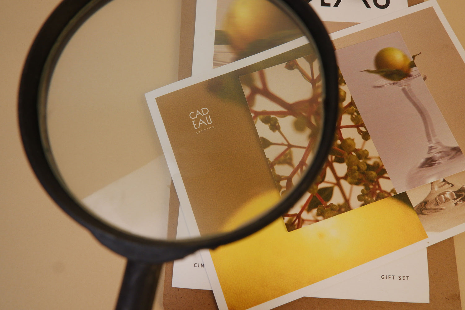 Magnifying glass over a set of cards with nature-themed designs on a beige surface