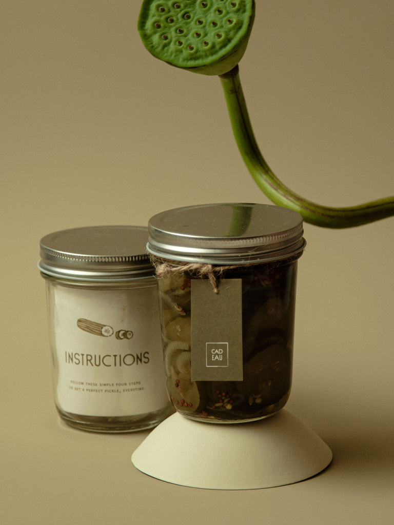 Pickling kit