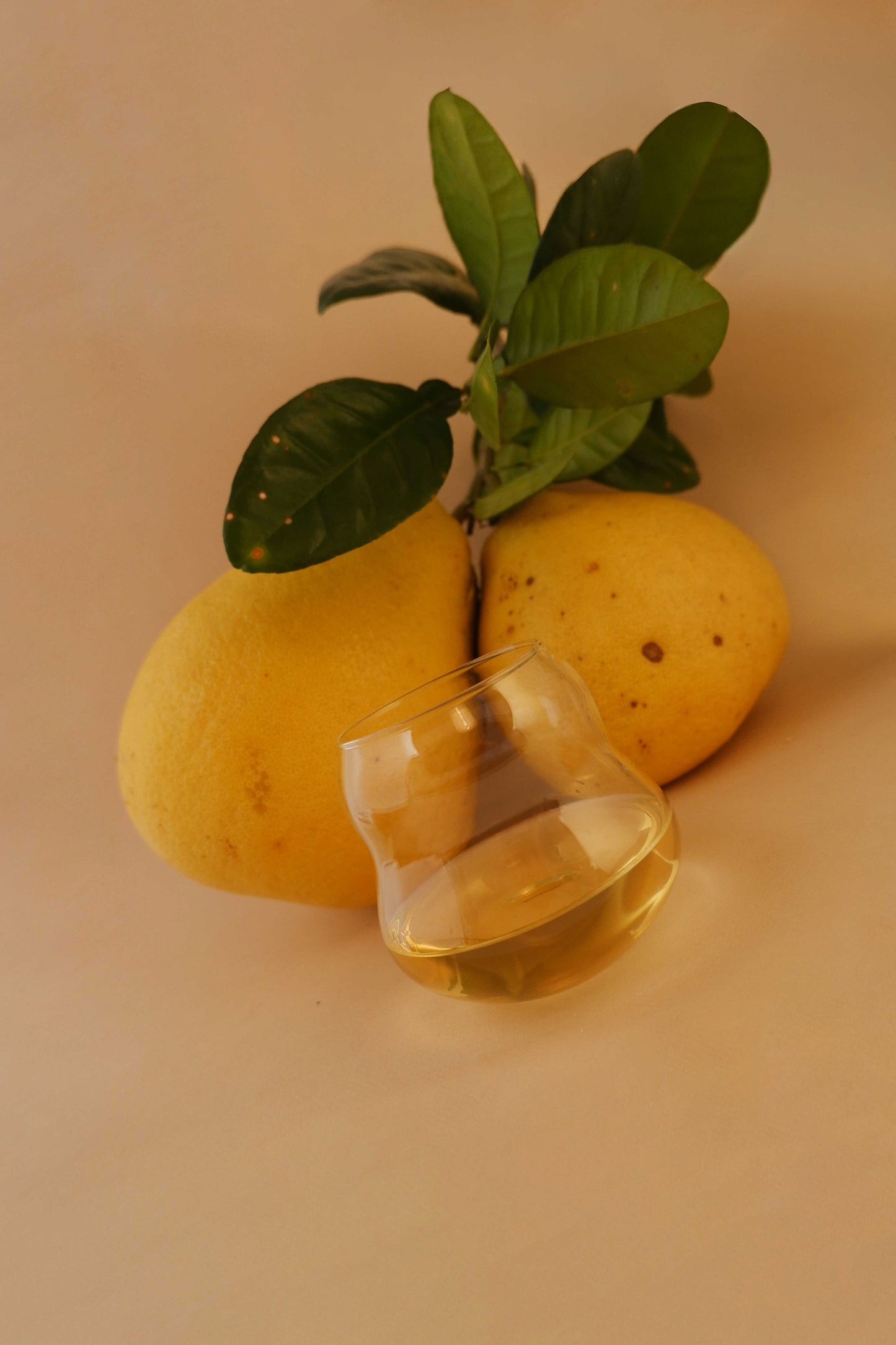 Two lemons with a small glass of water on a beige background
